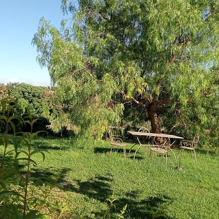 Agriturismo Podere Gianmaria Castiglioncello Luaran gambar