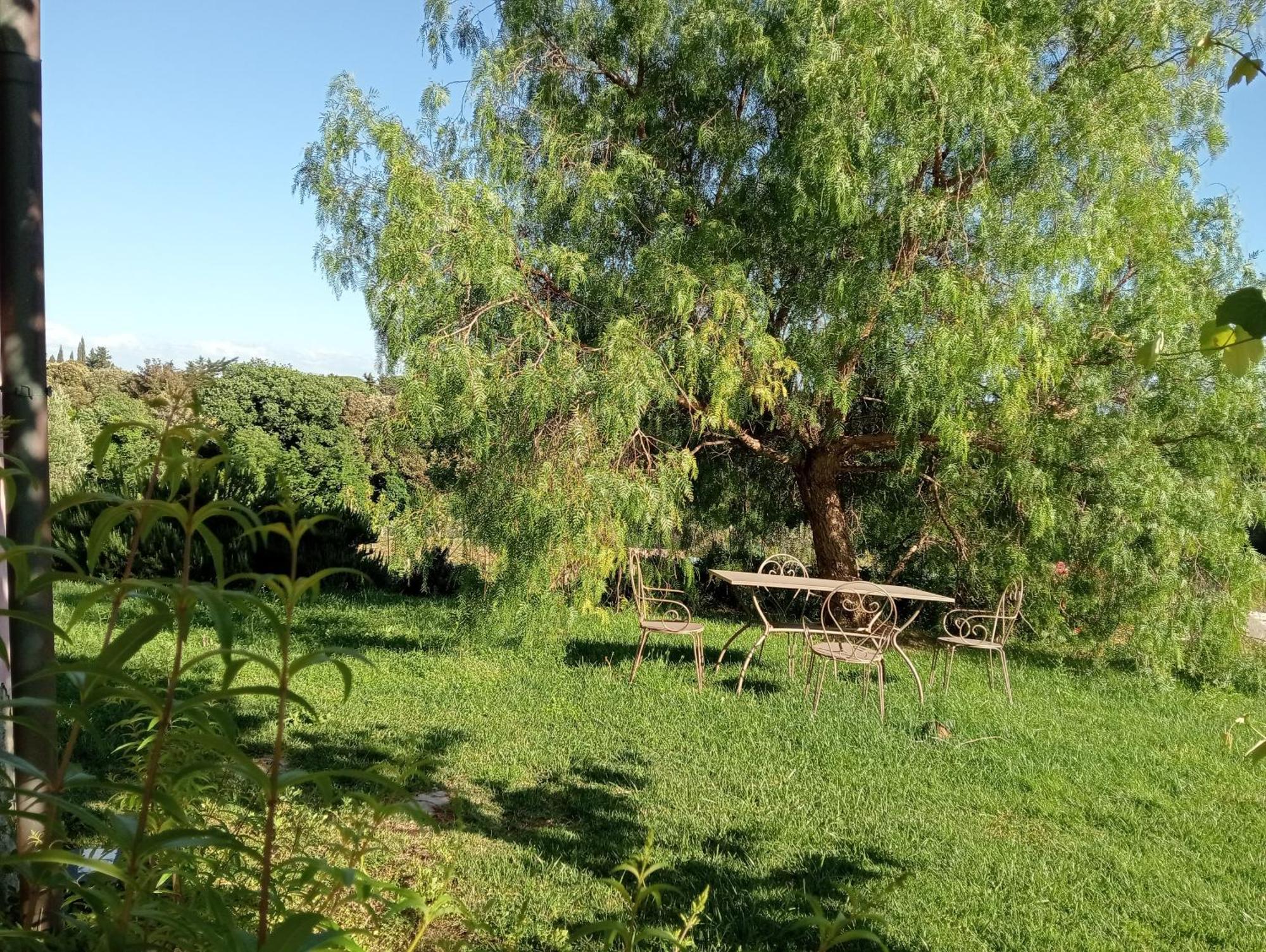 Agriturismo Podere Gianmaria Castiglioncello Luaran gambar